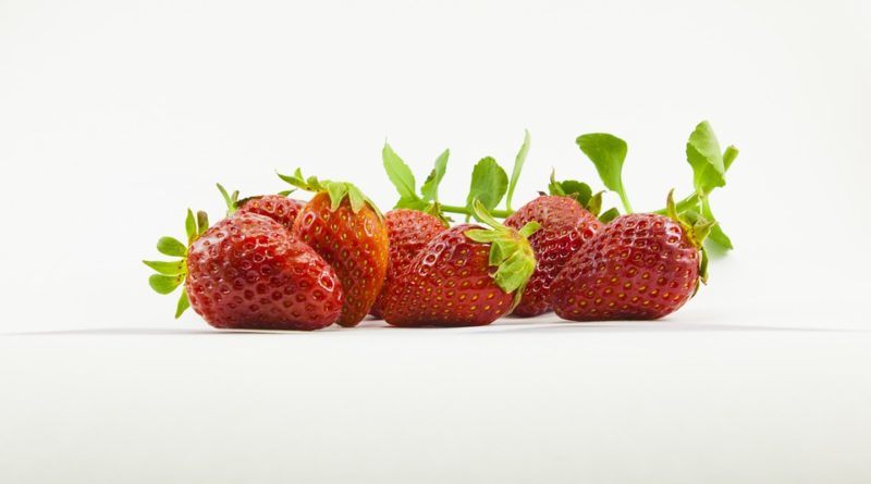 Ako pestovať ovocie tak, aby sme sa vyhli škodcom a chorobám?