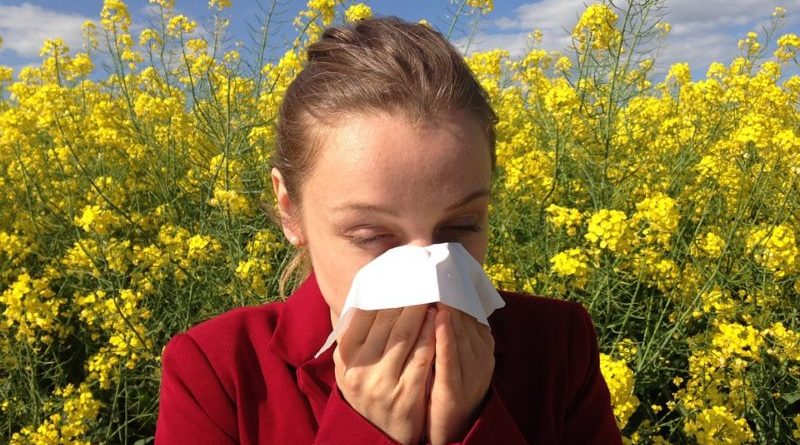 Peľová alergia. Čo je dobré vedieť